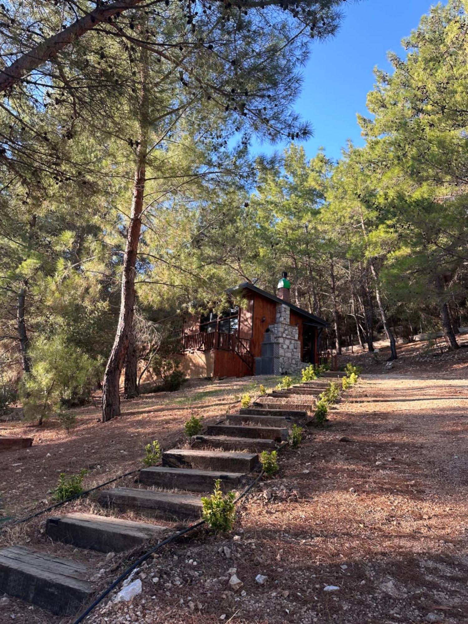 Panurlawoodenhouse Oezel Havuz& Sauna Mavi Esterno foto